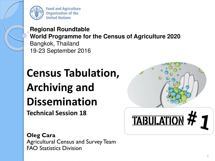 regional roundtable world programme