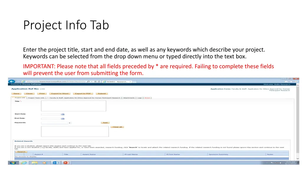 project info tab