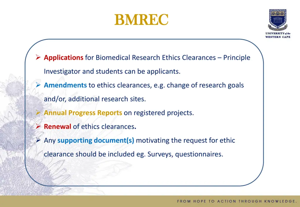 bm bmrec rec