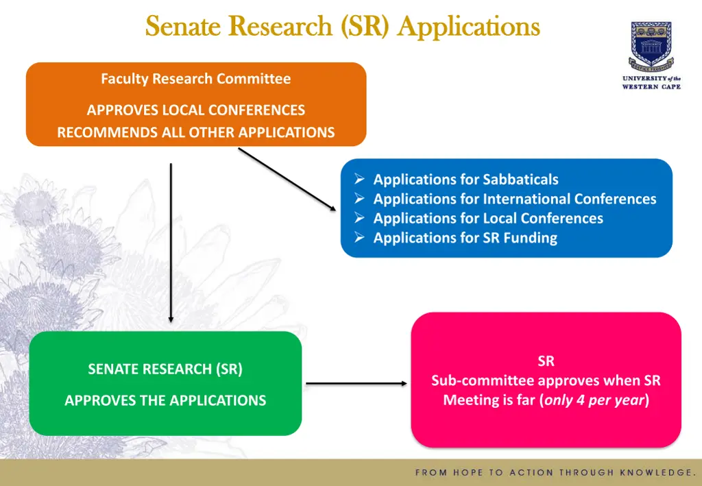 senate research sr applications senate research