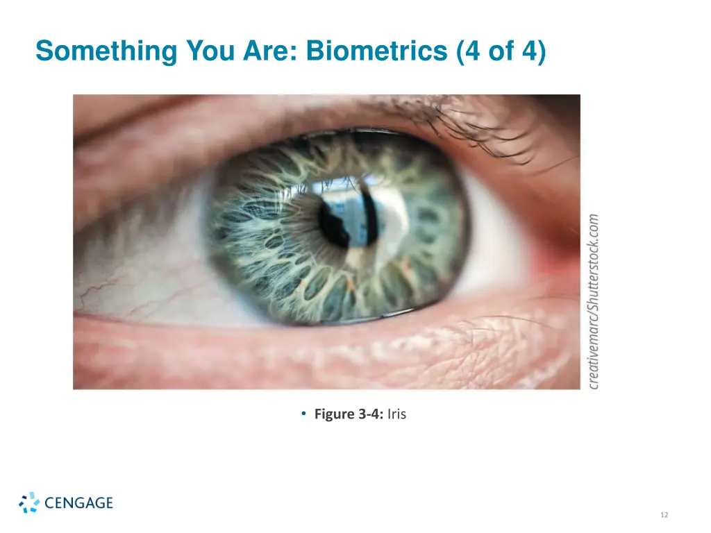 something you are biometrics 4 of 4