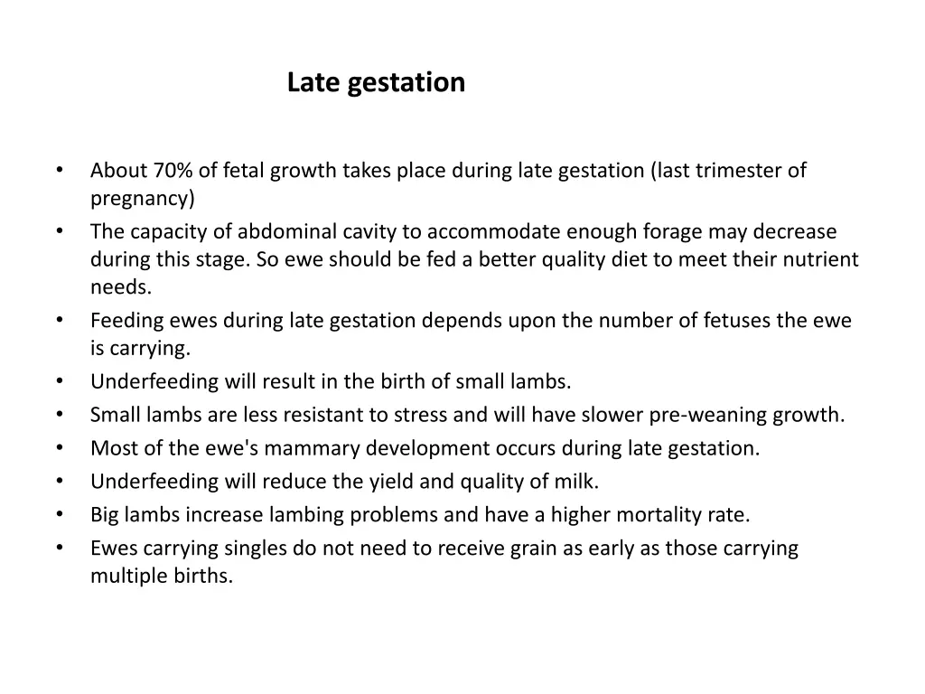 late gestation