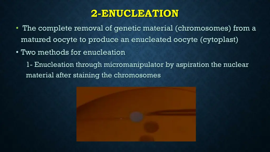 2 enucleation