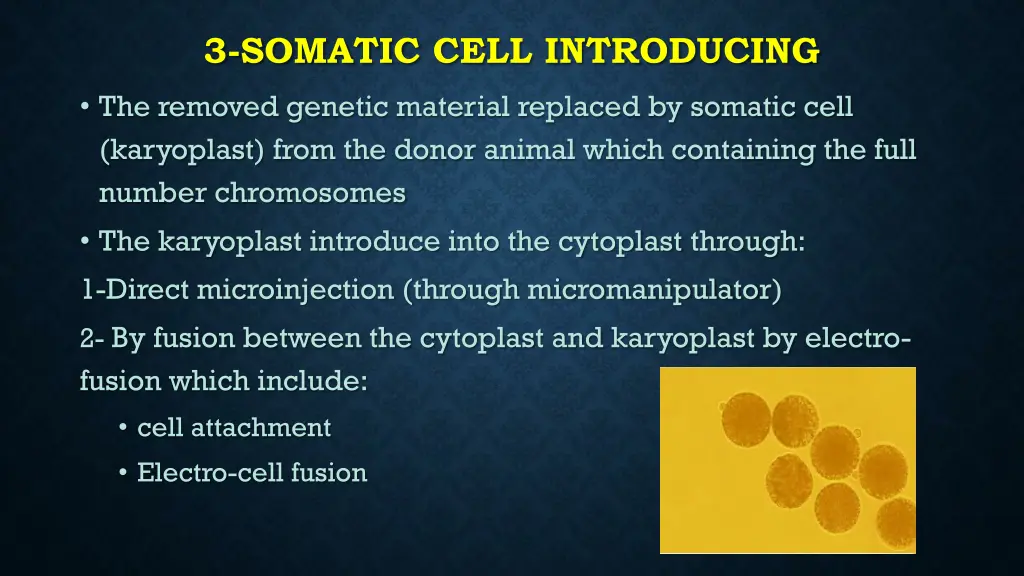 3 somatic cell introducing