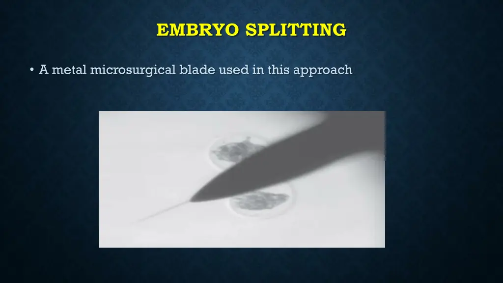 embryo splitting 1