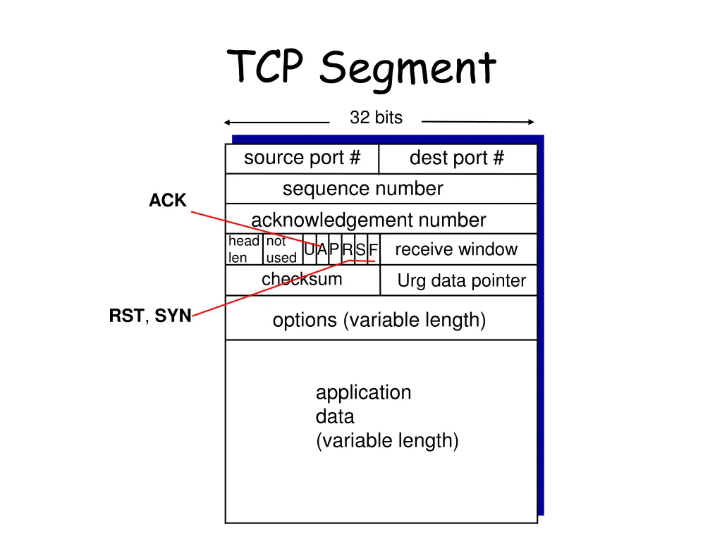 tcp segment