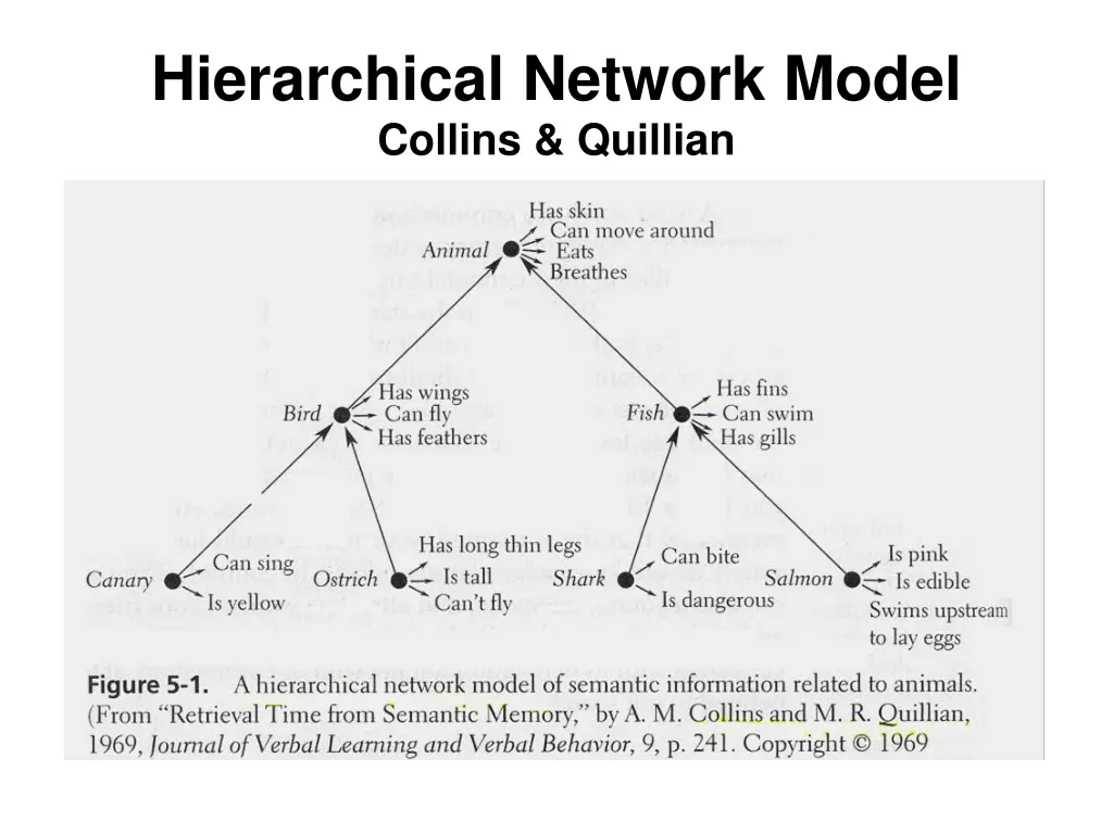 hierarchical network model collins quillian