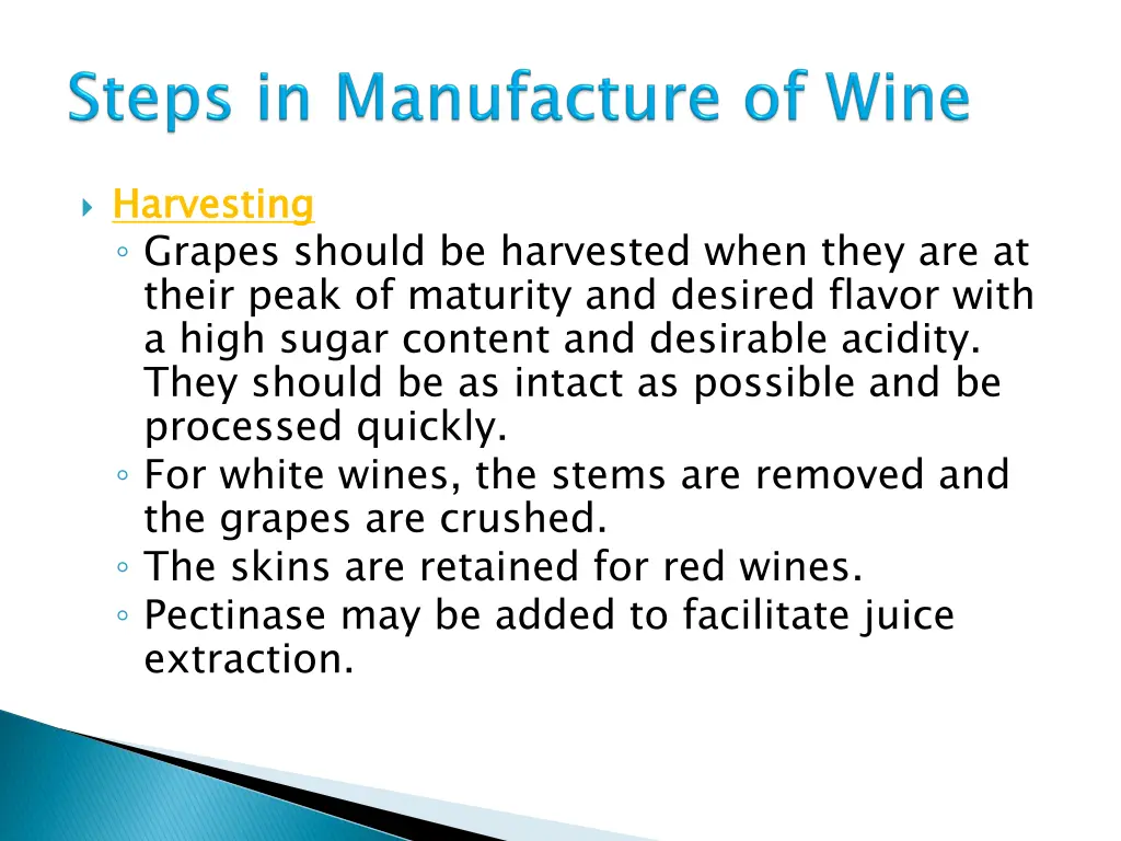 harvesting grapes should be harvested when they