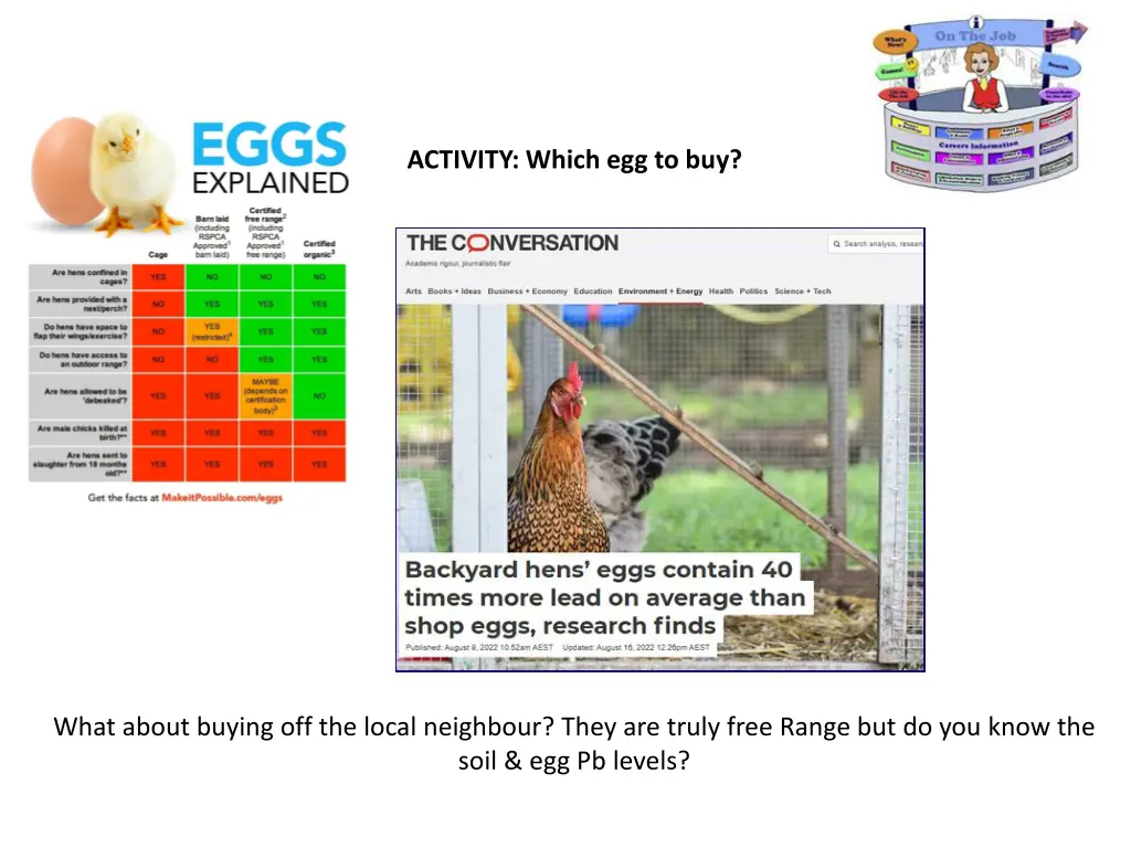 activity which egg to buy 1