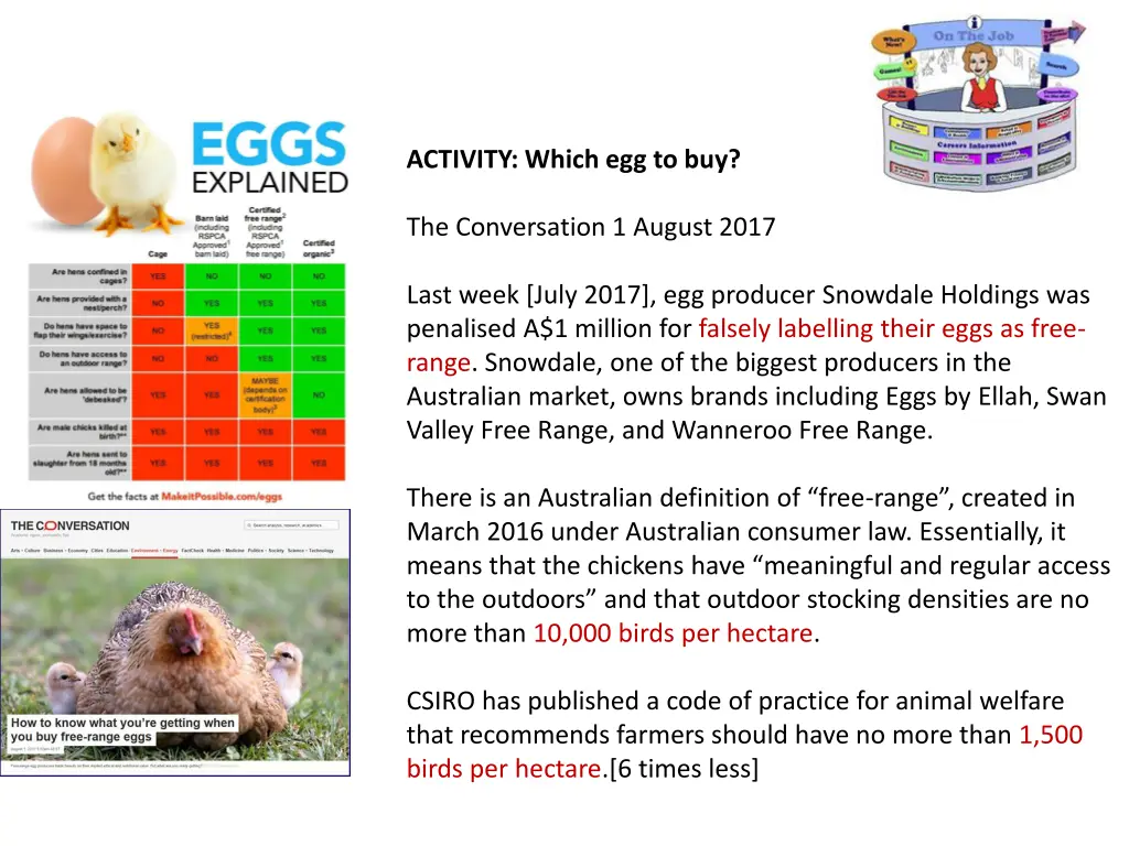 activity which egg to buy