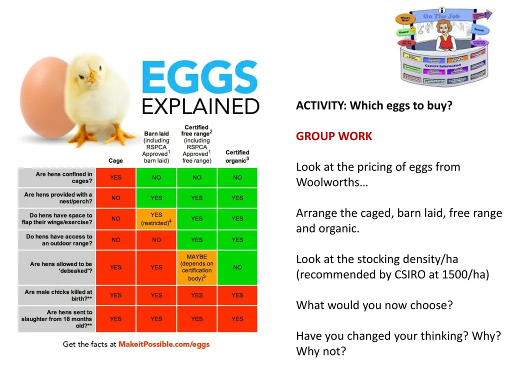 activity which eggs to buy 1