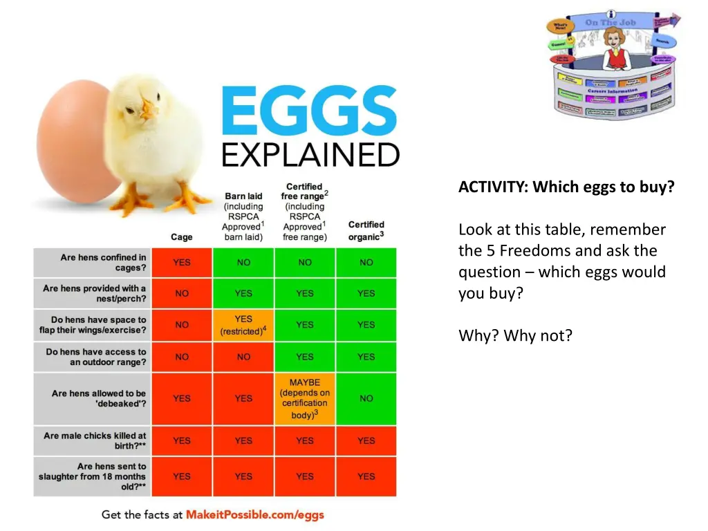 activity which eggs to buy