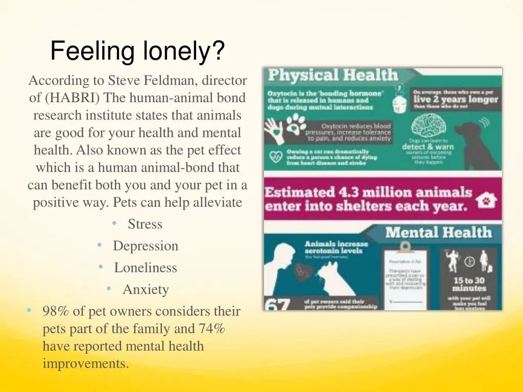 feeling lonely according to steve feldman
