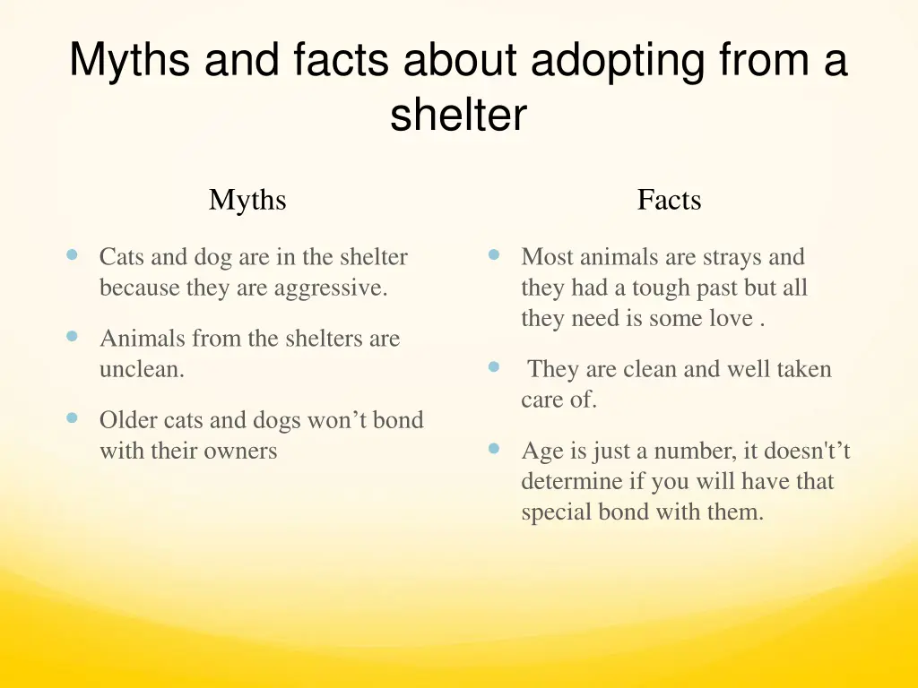 myths and facts about adopting from a shelter
