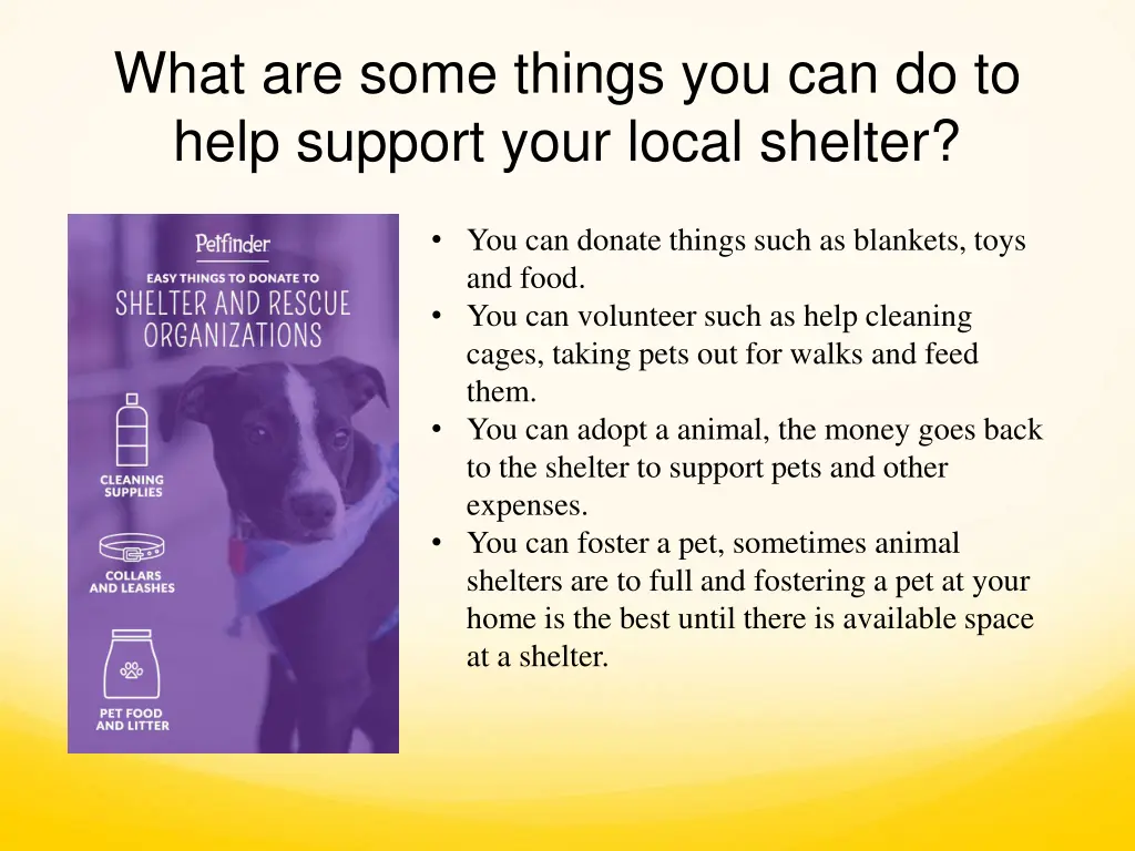 what are some things you can do to help support