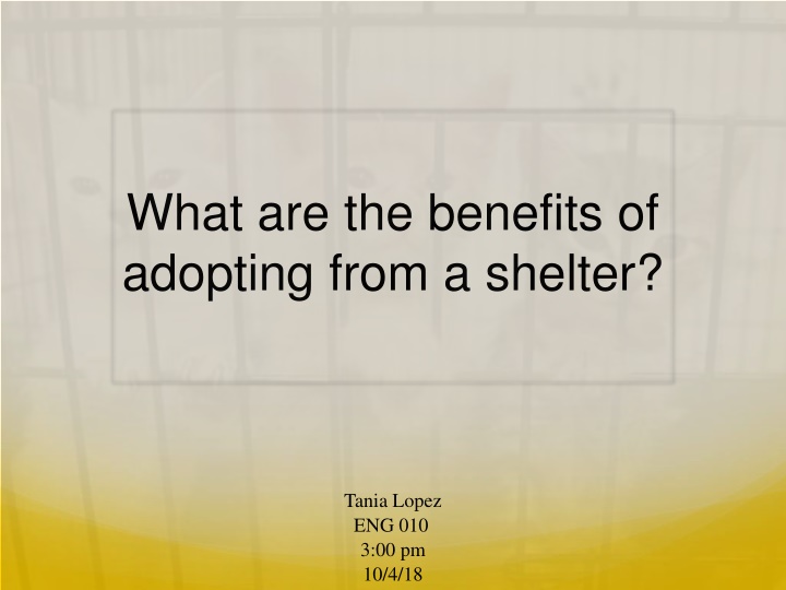 what are the benefits of adopting from a shelter