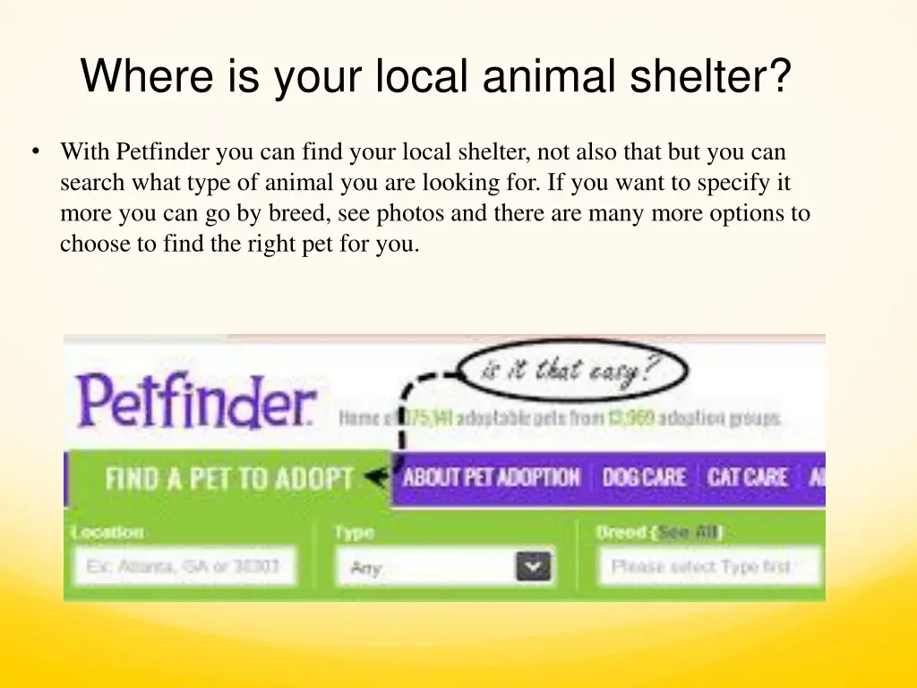 where is your local animal shelter