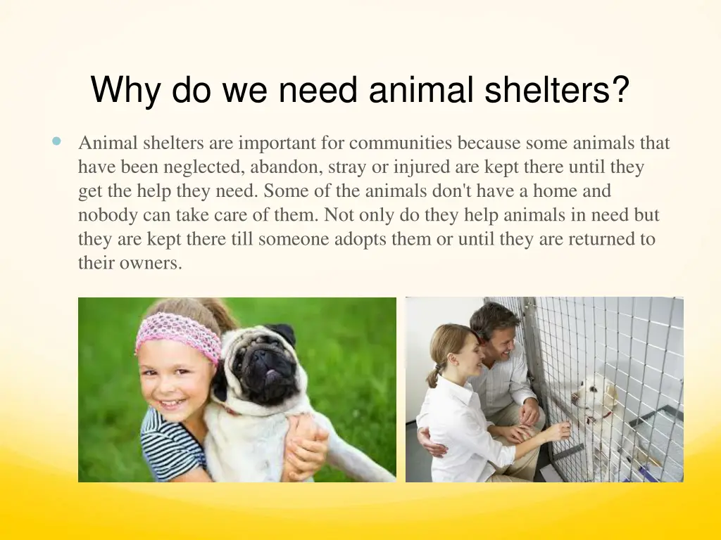 why do we need animal shelters