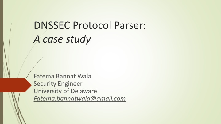 dnssec protocol parser a case study