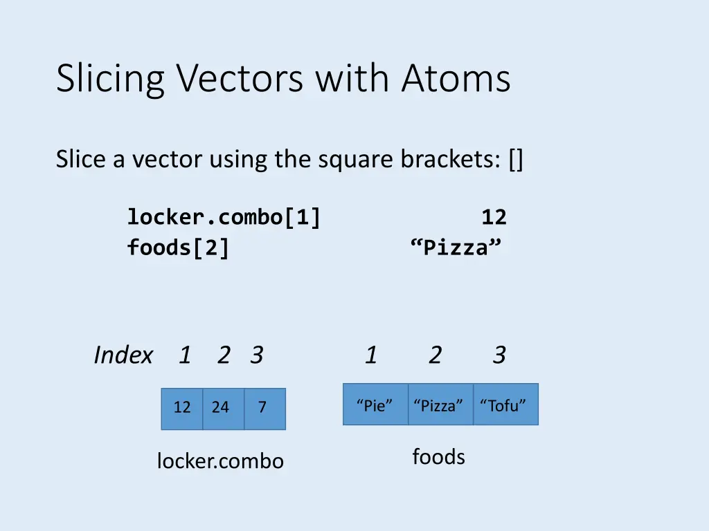 slicing vectors with atoms