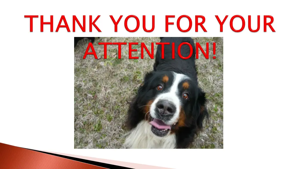 slide17