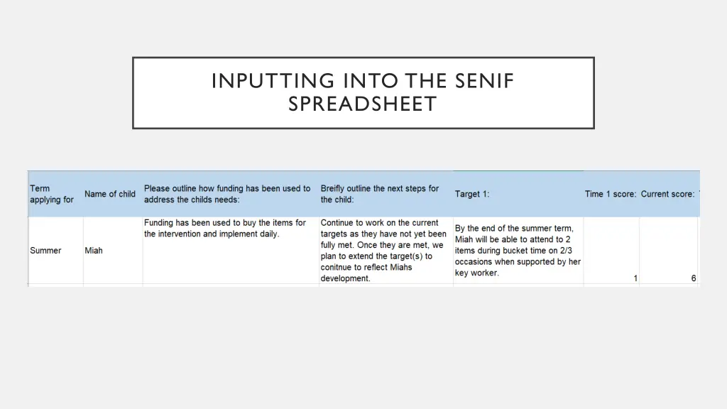 inputting into the senif spreadsheet