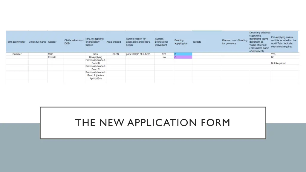 the new application form