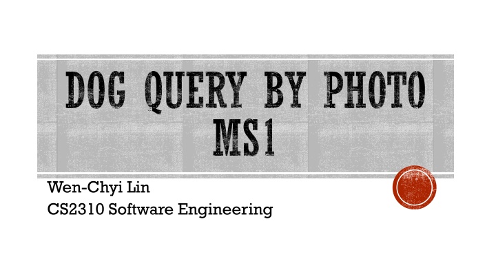 dog query by photo ms1
