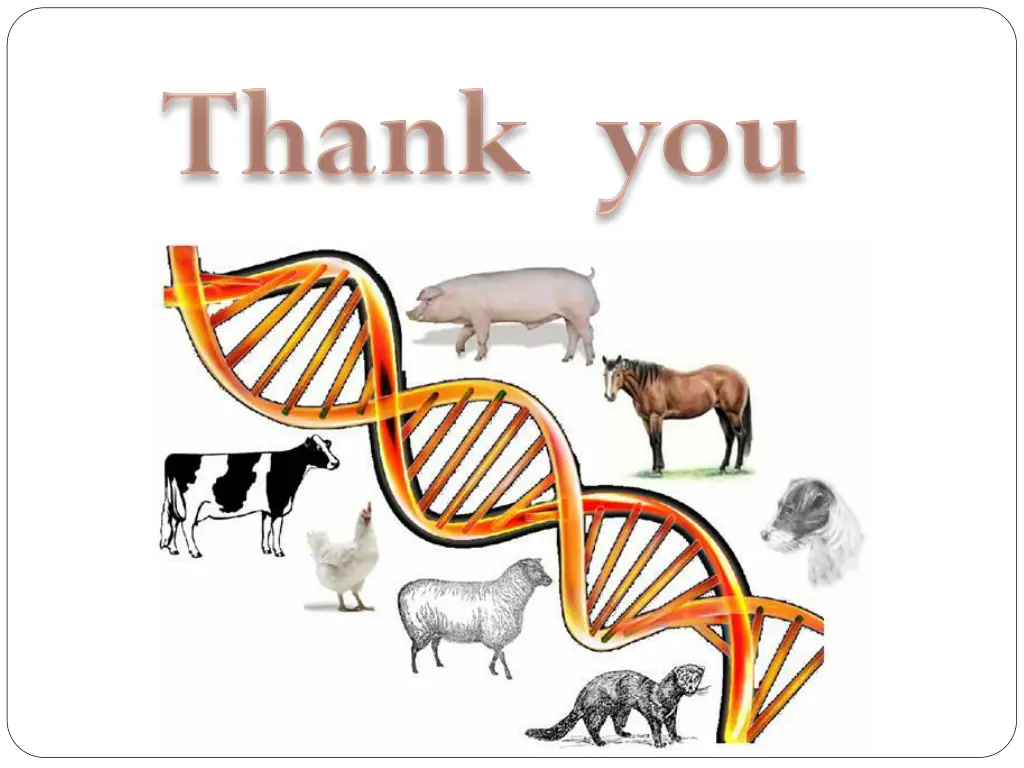 slide21