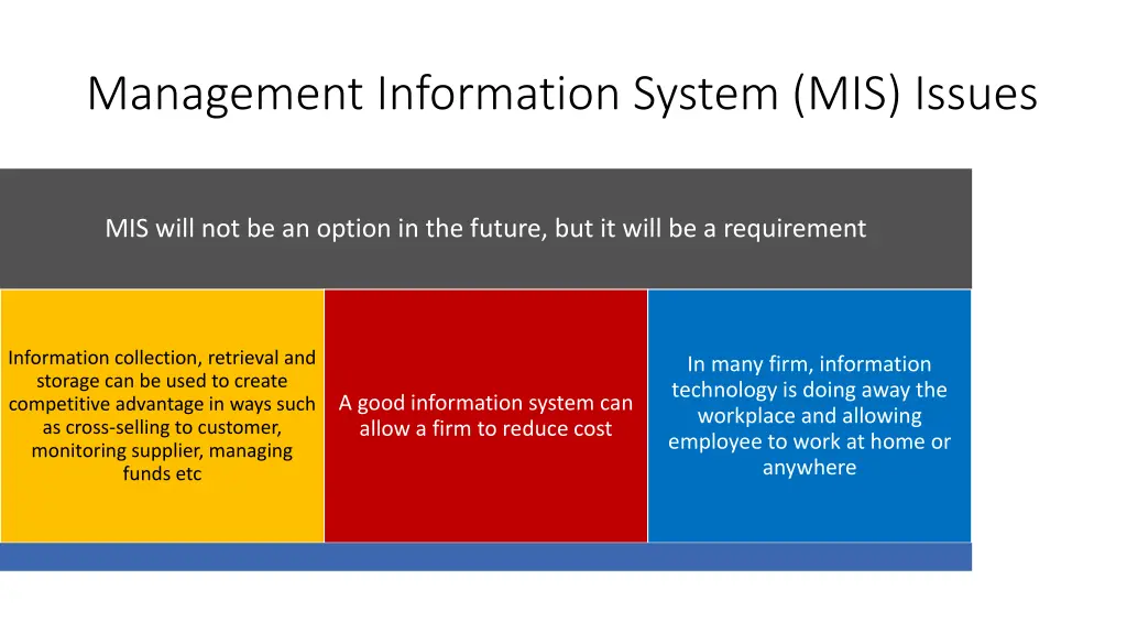 management information system mis issues