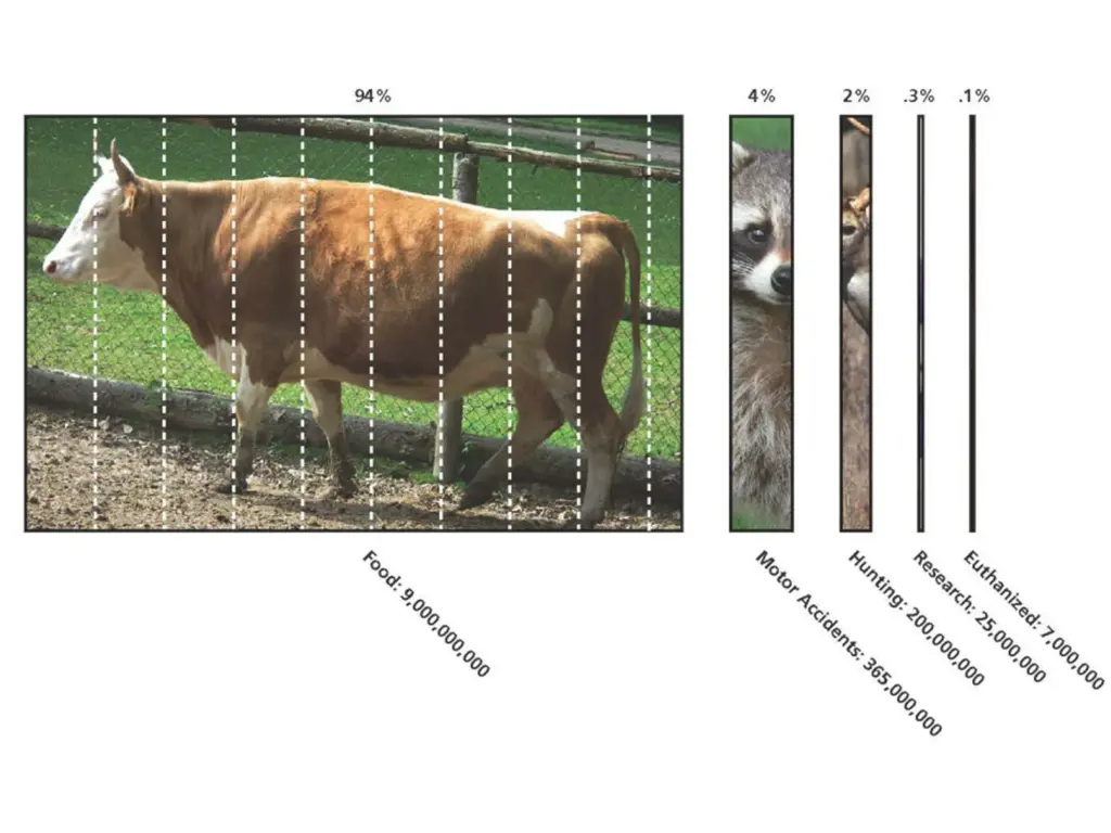 slide10