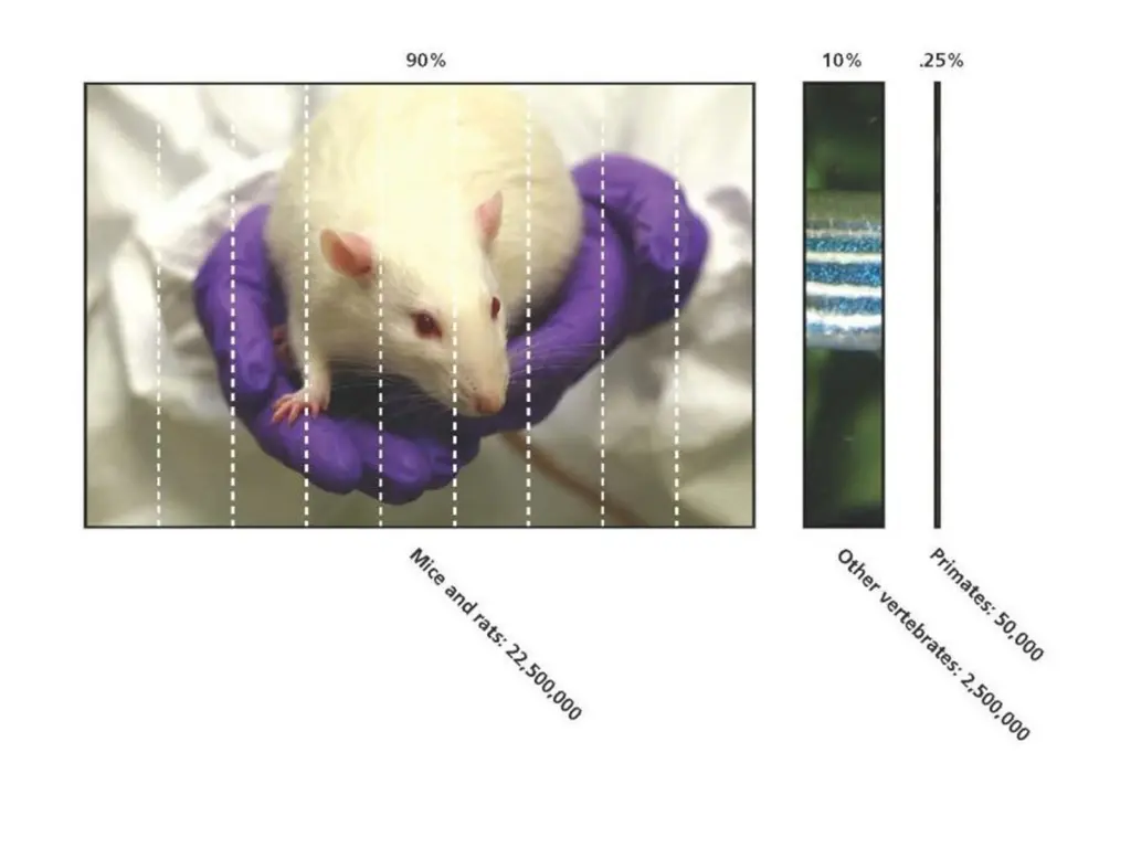 slide13