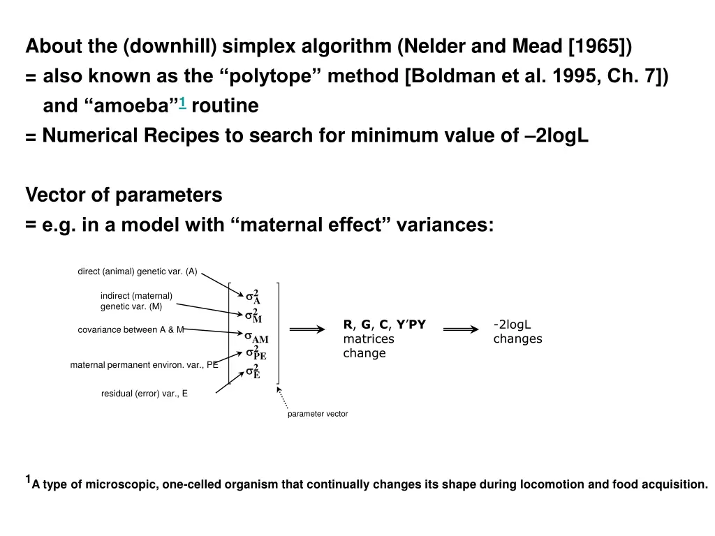 about the downhill simplex algorithm nelder