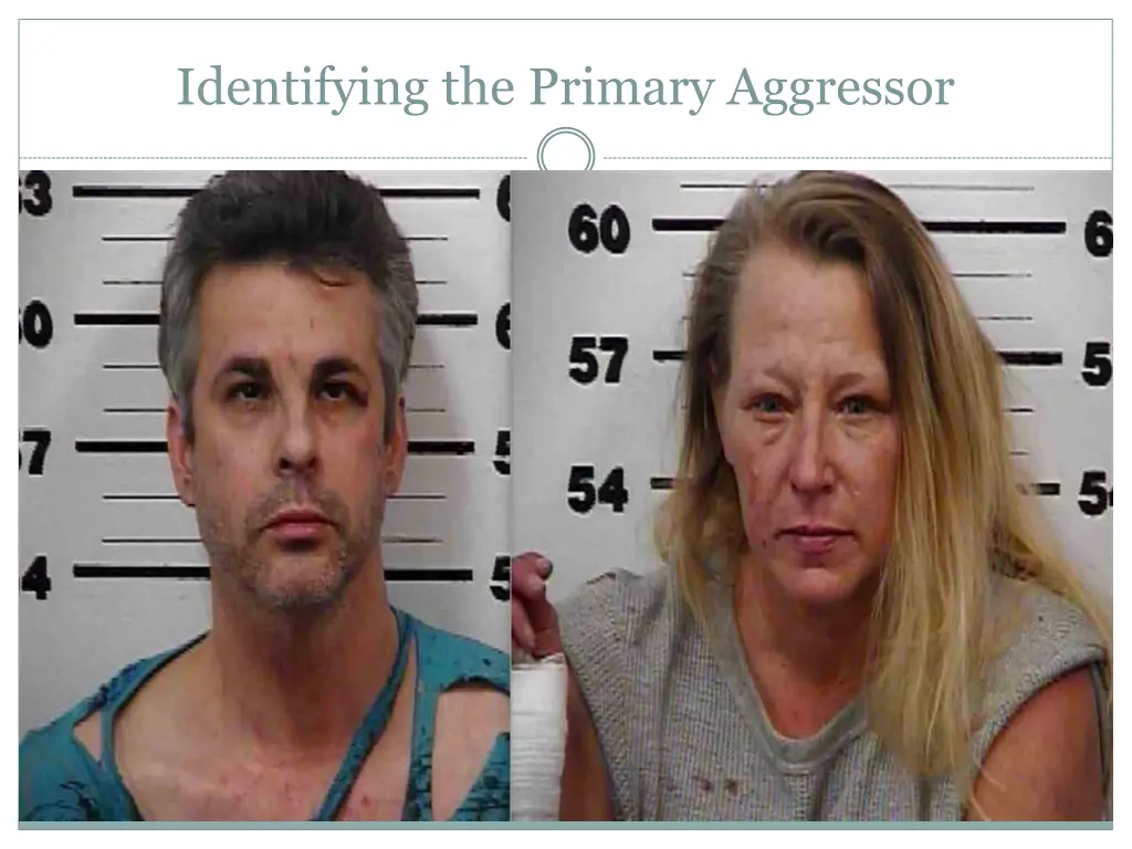 identifying the primary aggressor
