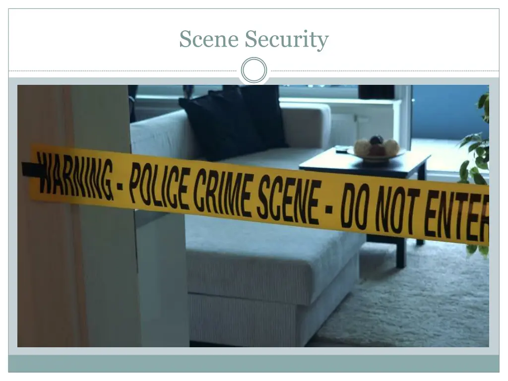 scene security