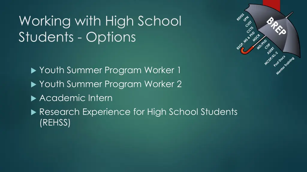 working with high school students options