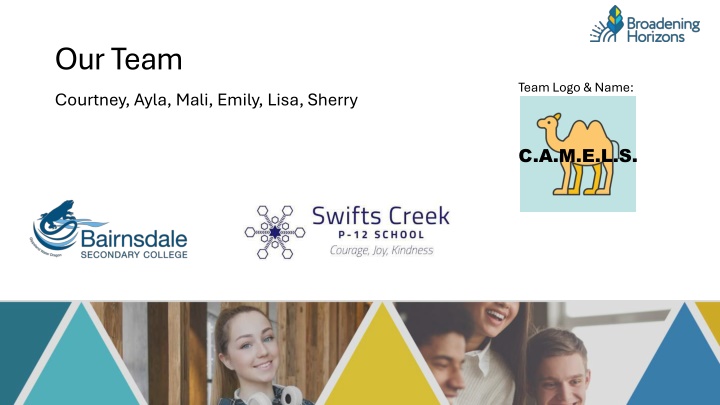 our team