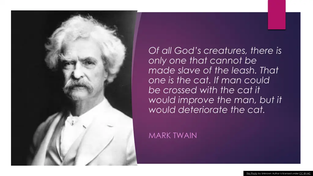 of all god s creatures there is only one that
