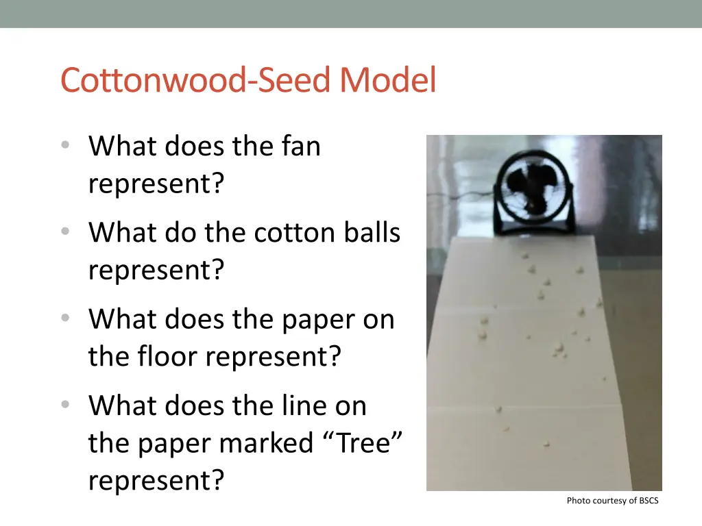 cottonwood seed model