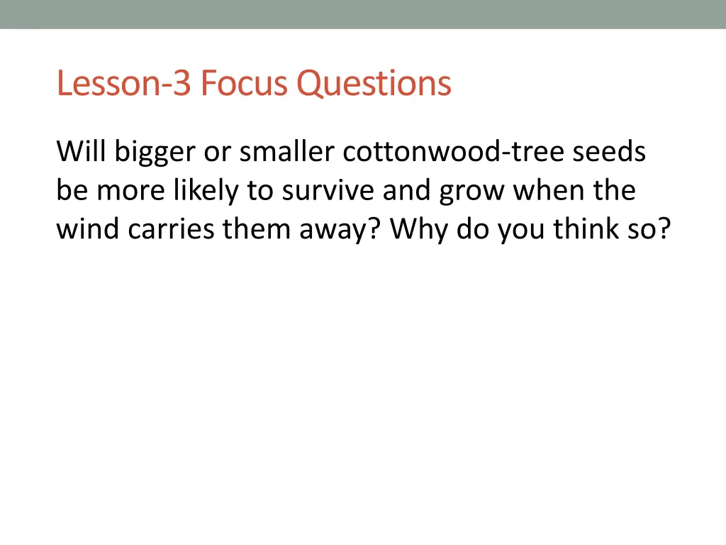lesson 3 focus questions