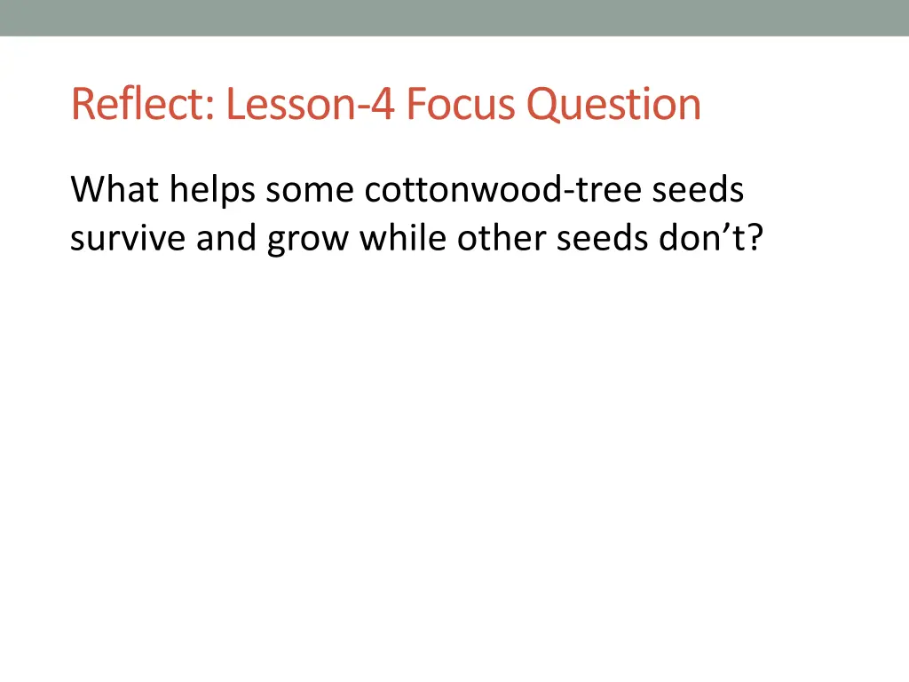 reflect lesson 4 focus question