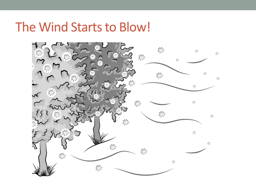 the wind starts to blow
