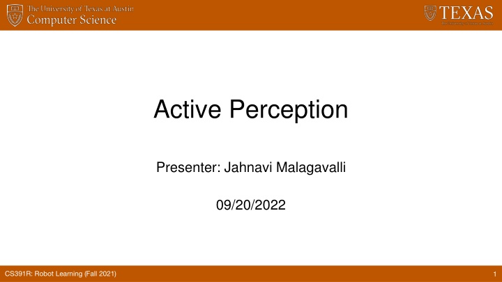 active perception