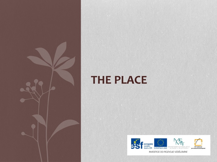 the place