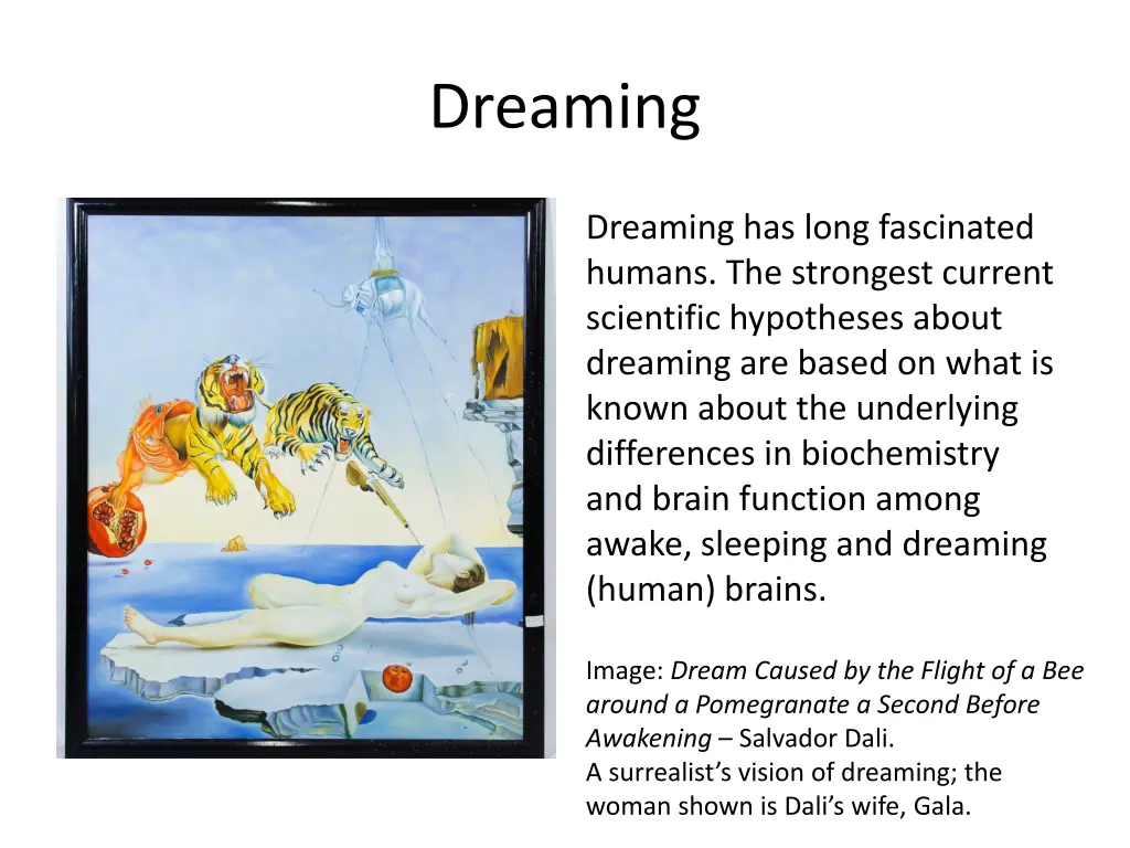 dreaming