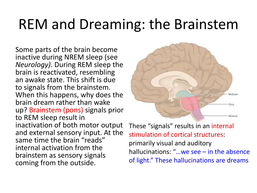 rem and dreaming the brainstem