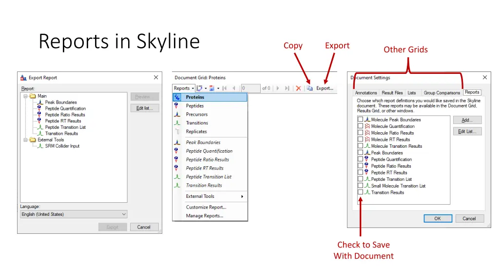 reports in skyline 1