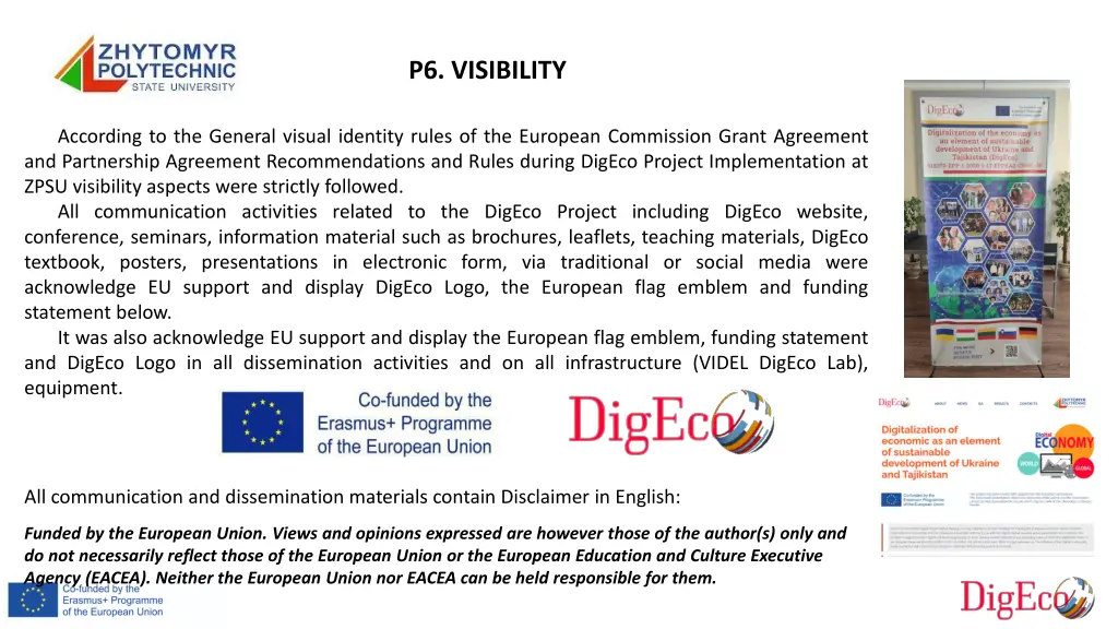 p6 visibility