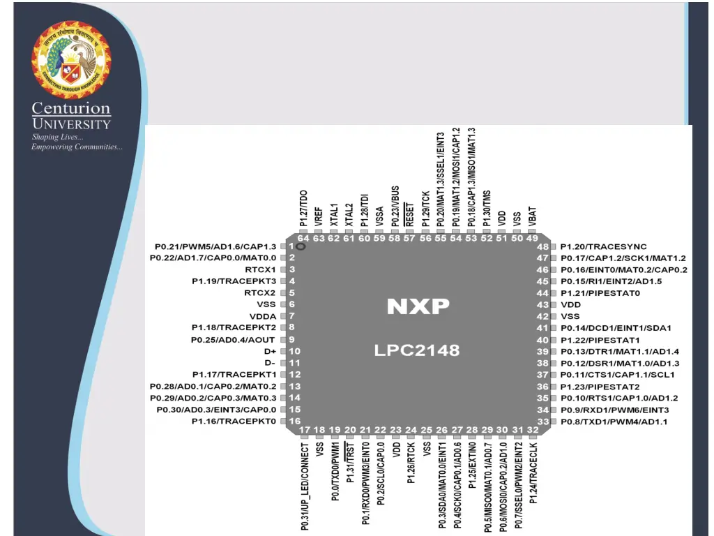slide17