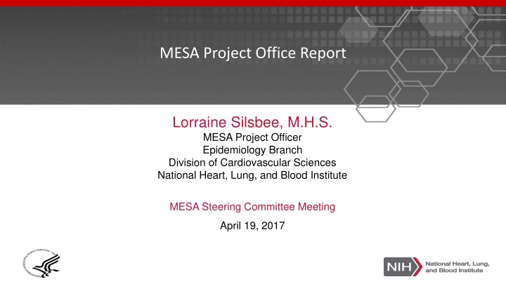 mesa project office report